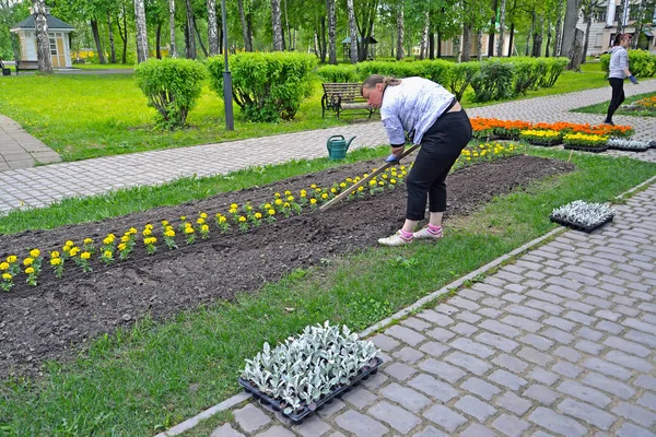 Uglich Rusya Federasyonu Mayıs 2018 Şehir Parkı Içinde Çiçek Fide — Stok fotoğraf