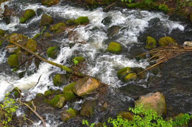 Mavi nehir azgın suda. Kaliningrad bölgesi