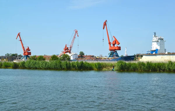 Portaalkranen Zeehaven Van Stad Svetlyj Regio Kaliningrad — Stockfoto