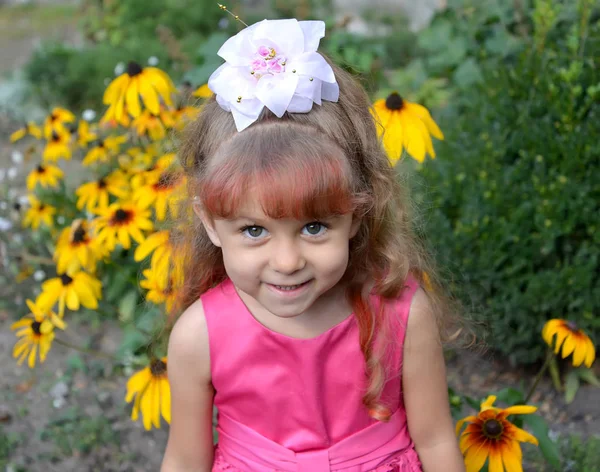 小女孩的肖像对 Coneflowers 开花的背景 — 图库照片