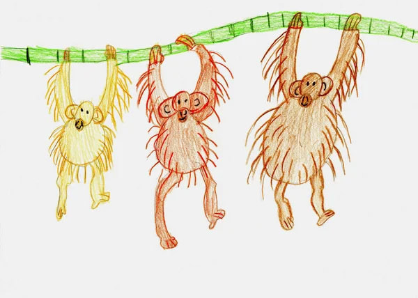 Drei Affen Hängen Einem Ast Kinderzeichnung — Stockfoto