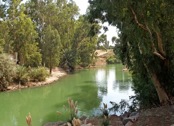 ヨルダン川の土手 イスラエル — ストック写真