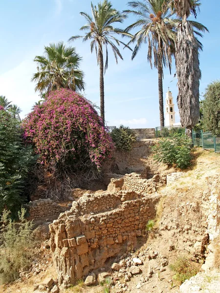 Ruins Egyptian Structures Times Pharaoh Ramesses Excavation Jaffa Israel — Stock Photo, Image