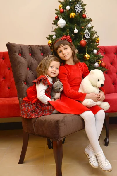 新年のツリーの背景に座っているぬいぐるみの手の中で つの幼い姉妹 — ストック写真