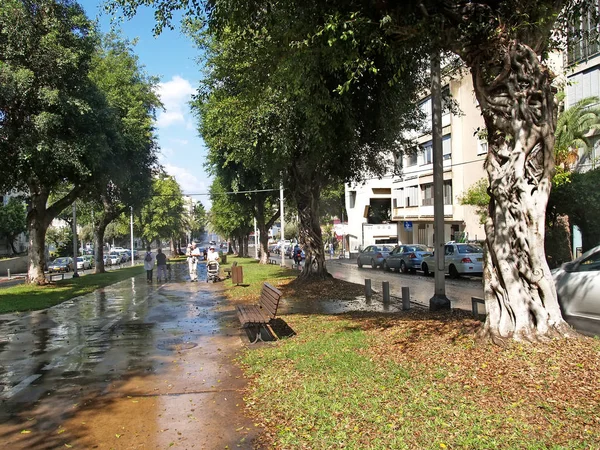 Tel Aviv Israël Oktober 2012 Ben Tsion Boulevard Een Regen — Stockfoto