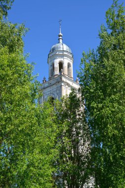 Gruuthuse Müzesi kutsal Trinity Katedrali (18nci yüzyıl) ağaçları arasında bir kubbe. Poshekhonje, Yaroslavl bölgesi
