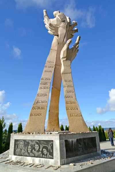 Kaliningrad Ryssland Oktober 2018 Memorial Marshs Offer För Döden Nära — Stockfoto