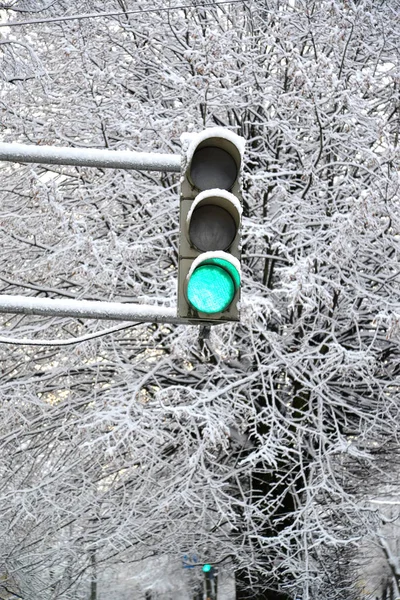 Señal Verde Del Semáforo Sobre Fondo Los Árboles Cubiertos Nieve — Foto de Stock