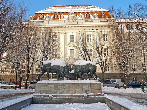 Sculptural Composition Fighting Bisons 1912 Background Building Kgtu Kaliningrad — Stock Photo, Image