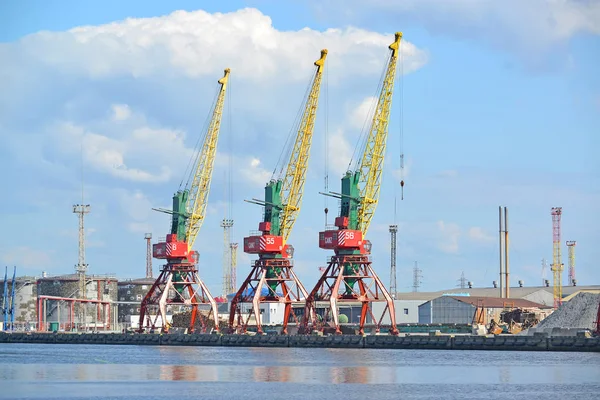 Kaliningrad Russie Mai 2015 Vue Sur Les Grues Portuaires Jour — Photo