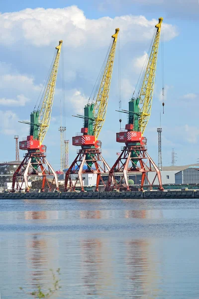 Kaliningrad Rusland Mei 2015 Poort Kranen Zomerdag Handel Zeehaven — Stockfoto