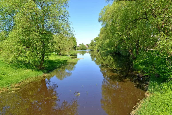 Pertomka Řeka Slunečného Letního Dne Poshekhonje Jaroslavl Regionu — Stock fotografie