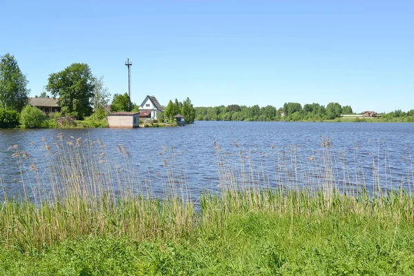 Gebouwen Rivieroever Van Pertomki Poshekhonje Yaroslavl Regio — Stockfoto