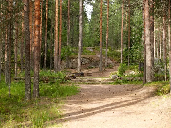 Fragmente von Verstärkungen der Manierheim-Linie in der natürlichen Grenze pitkyakangas. Karelien — Stockfoto