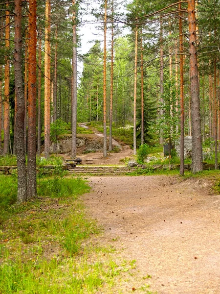 The remains of strengthenings of the line of Mannerheim in the natural boundary Pitkyakangas. Karelia — Stock Photo, Image