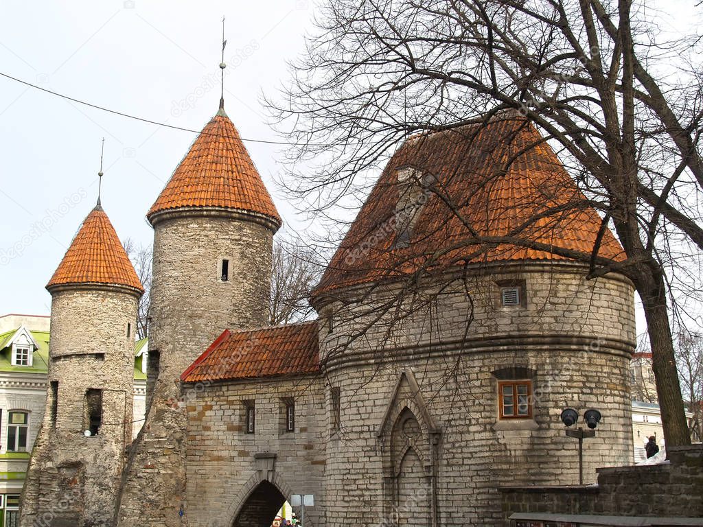 Towers of Virusky gate in the spring afternoon. Tallinn, Estonia