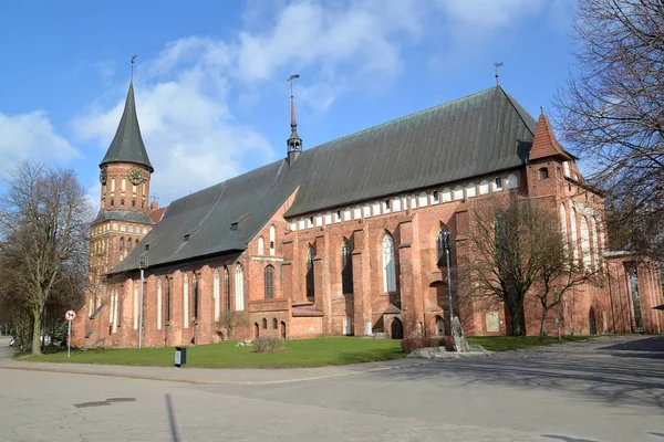 Güneşli bahar gününde Konigsberg Katedrali. Kaliningrad