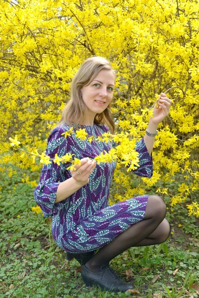 The young woman holds branches of the blossoming forsythia — Stock Photo, Image