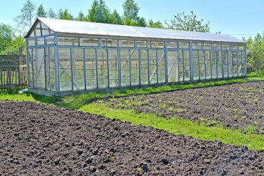 Mevsimlik dacha üzerinde cam çerçeveler kazılmış yatak ve sera