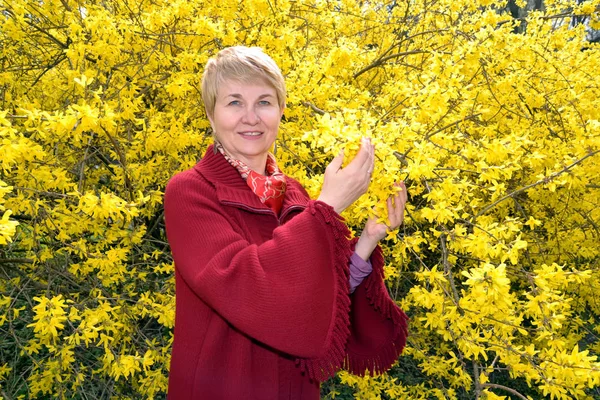 Retrato da mulher de cinquenta anos contra o pano de fundo da forsythia florescente — Fotografia de Stock