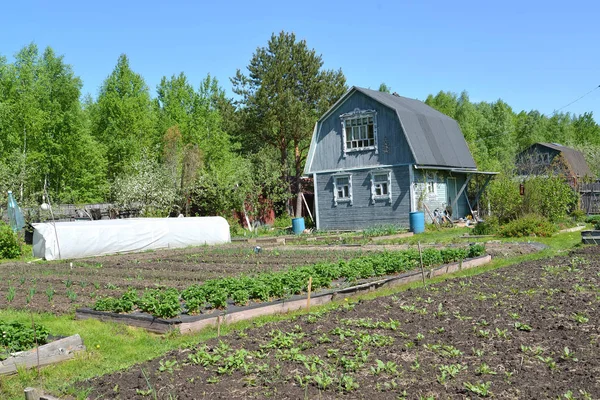 Holzhaus auf der saisonalen Datscha am Frühlingnachmittag — Stockfoto