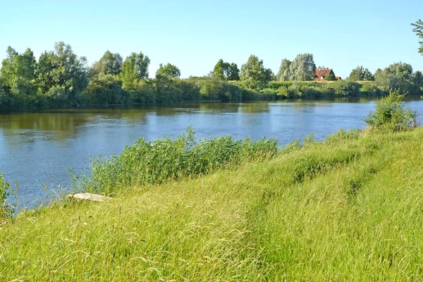Река Матросовка в районе поселка Биг Бэнкс. Калининградская область — стоковое фото