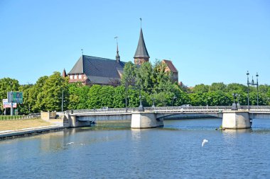 Kaliningrad, Rusya - 18 Haziran 2019: Güneşli yaz gününde Konigsberg Katedrali'nin arka planına karşı Derevyanny Köprüsü