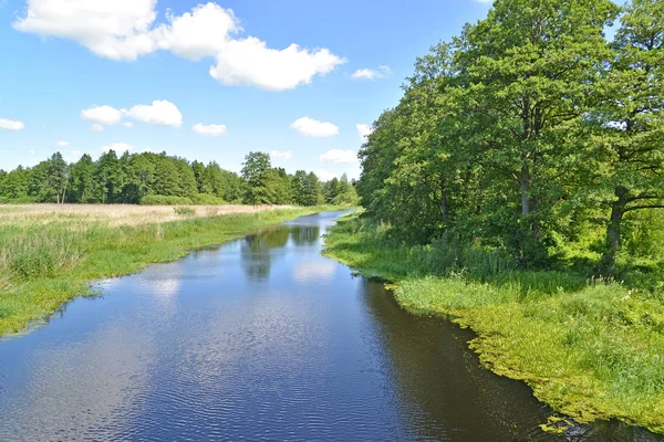 Il letto del fiume Prato in estate giornata di sole. Regione di Kaliningrad — Foto Stock