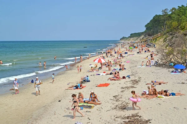 PIONEER, RÚSSIA - 28 de julho de 2019: A praia selvagem no dia de verão. Região de Kaliningrado — Fotografia de Stock