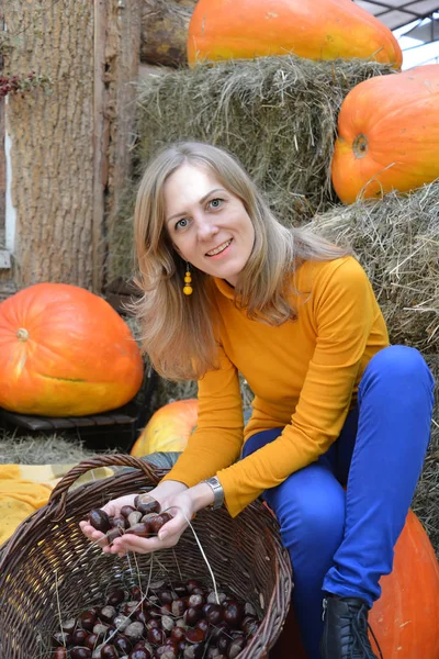 Женщина держит кучу каштанов на фоне оранжевой тыквы. Осенний урожай — стоковое фото