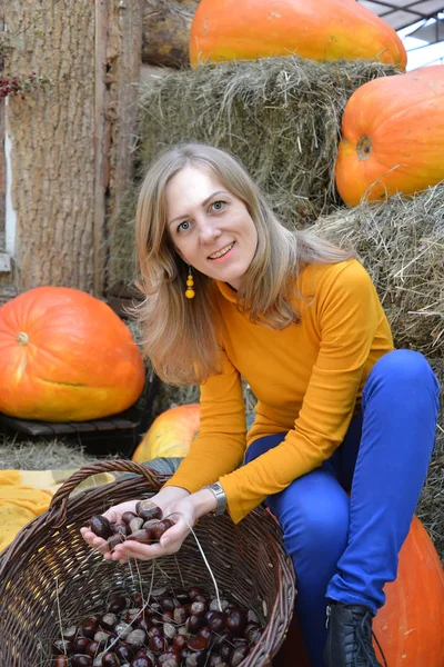 Une femme tient un bouquet de châtaignes sur le fond de citrouille orange. Récolte d'automne — Photo