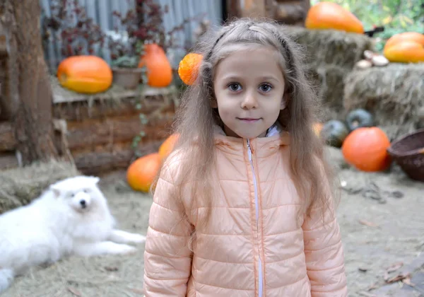 Retrato de una niña pequeña en el patio de una casa rural sobre el fondo de la calabaza. Cosecha de otoño —  Fotos de Stock
