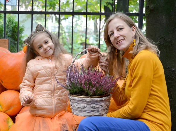 Mamma och hennes dotter håller en korg med svärd mot bakgrunden av orange pumpa. Familjeporträtt — Stockfoto