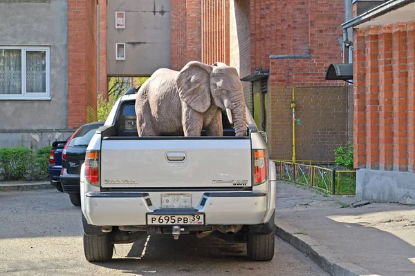 KALININGRAD, RUSSIA - APRIL 26, 2019: Park elephant sculpture stands in the body of a Honda Ridgeline car — Stock Photo, Image