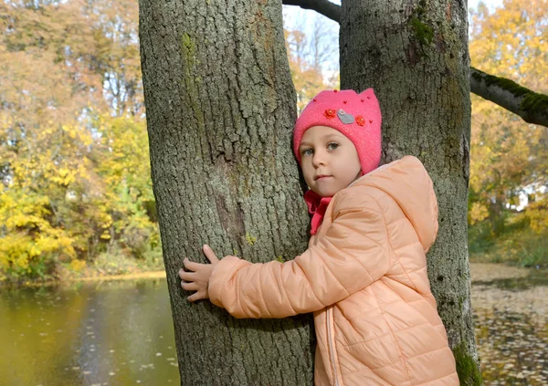 Menina de cinco anos fica abraçando tronco de árvore no banco da lagoa no parque de outono — Fotografia de Stock