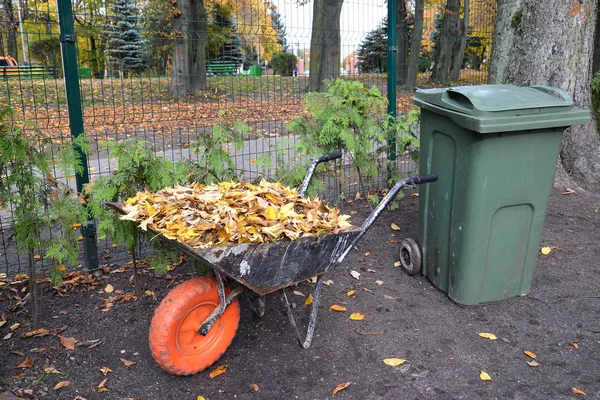 Car with autumn leaves stands near garbage container — Stock Photo, Image