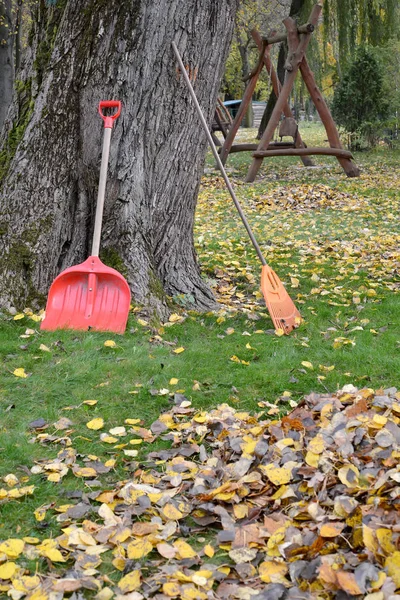 Shovel and loot to clean the fallen foliage in the park. Fall — Stock Photo, Image