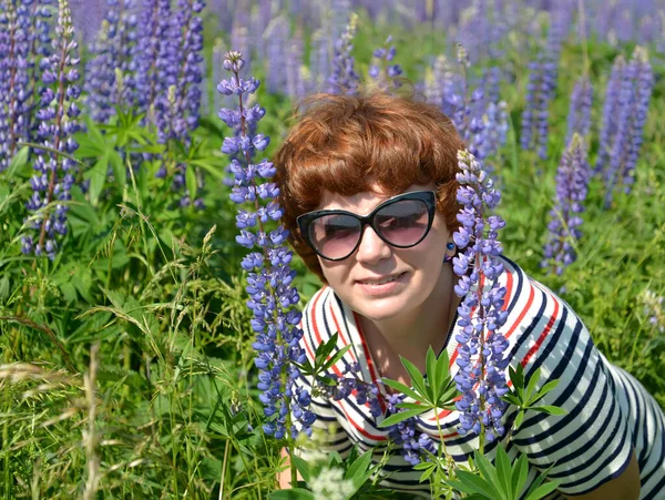 Middle Aged Woman Sunglasses Peeps Out Blooming Lupins — Stock Photo, Image