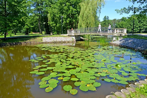 Zelenogradsk ロシア 2020年6月25日 夏の午後に都市公園内のTortilin池を渡るため息の橋の眺め カリーニングラード地方 — ストック写真