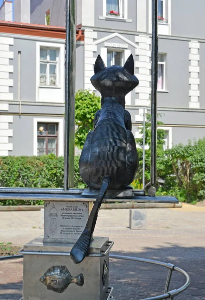 Zelenogradsk Rusia Junio 2020 Vista Trasera Escultura Del Gato Zelenograd — Foto de Stock