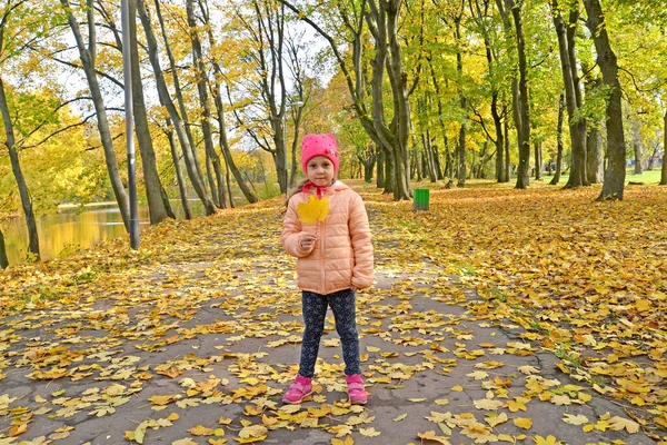 一个5岁的小女孩站在秋天公园的小巷里 手里拿着枫叶 — 图库照片