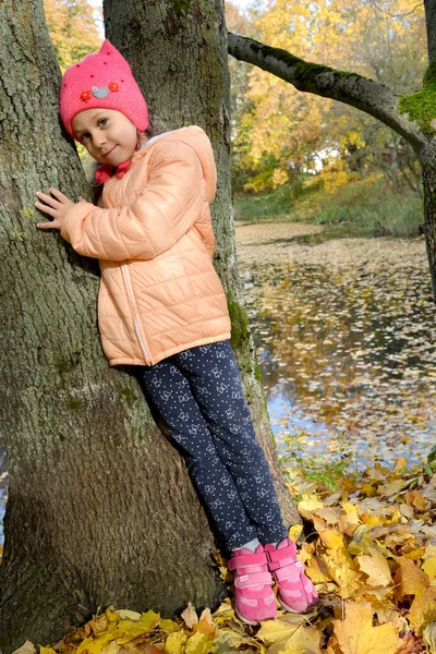 秋の公園の池のそばに女の子が木に寄りかかっている — ストック写真