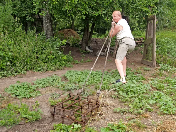 一个人几乎不可能用院子里的绳子拉着那老竖琴 农村生活 — 图库照片