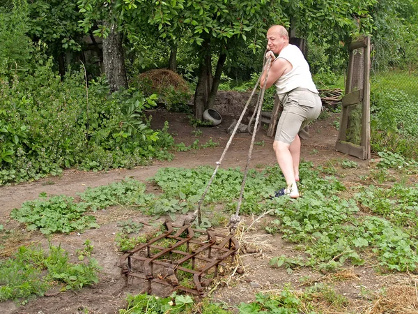 Man Hardly Drags Old Harrow Rope Courtyard Rural Life — Stock Photo, Image