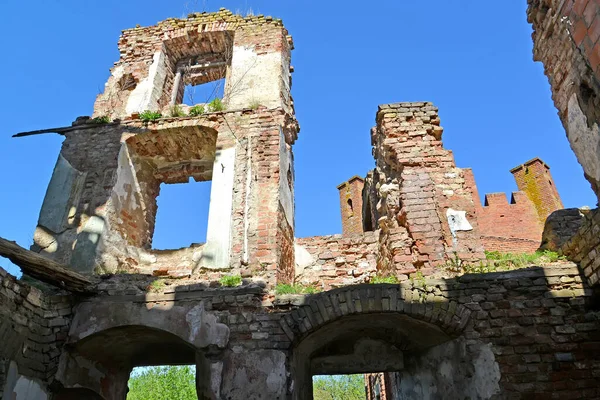 Ruinerna Shaaken Castle 1300 Talet Kaliningradregionen — Stockfoto
