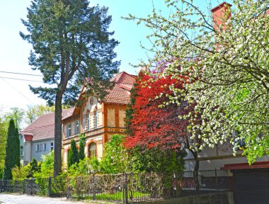 Güneşli bir bahar gününde Puşkin Caddesi manzarası. Kaliningrad