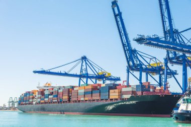 konteyner gemisi Harbor