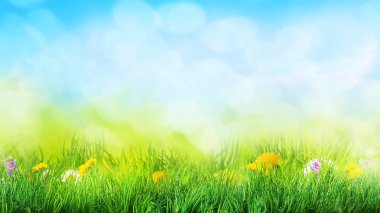 çim ve çiçek arka plan