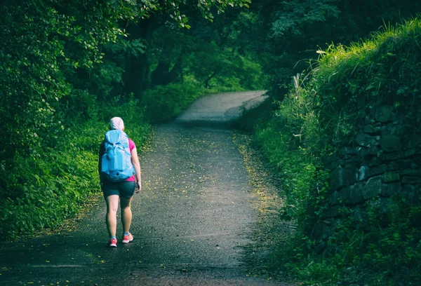 Kvinnan Promenader Camino Santiago — Stockfoto