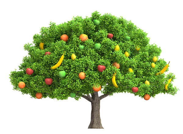 Árbol Frutas Aislado Ilustración Blanca — Foto de Stock